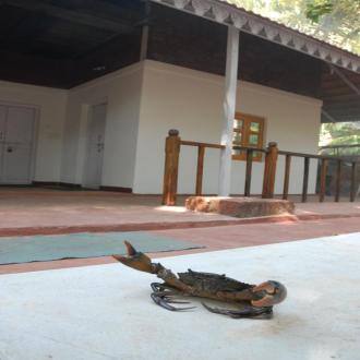 Exotic Home Stay MALVAN, Malvan 2